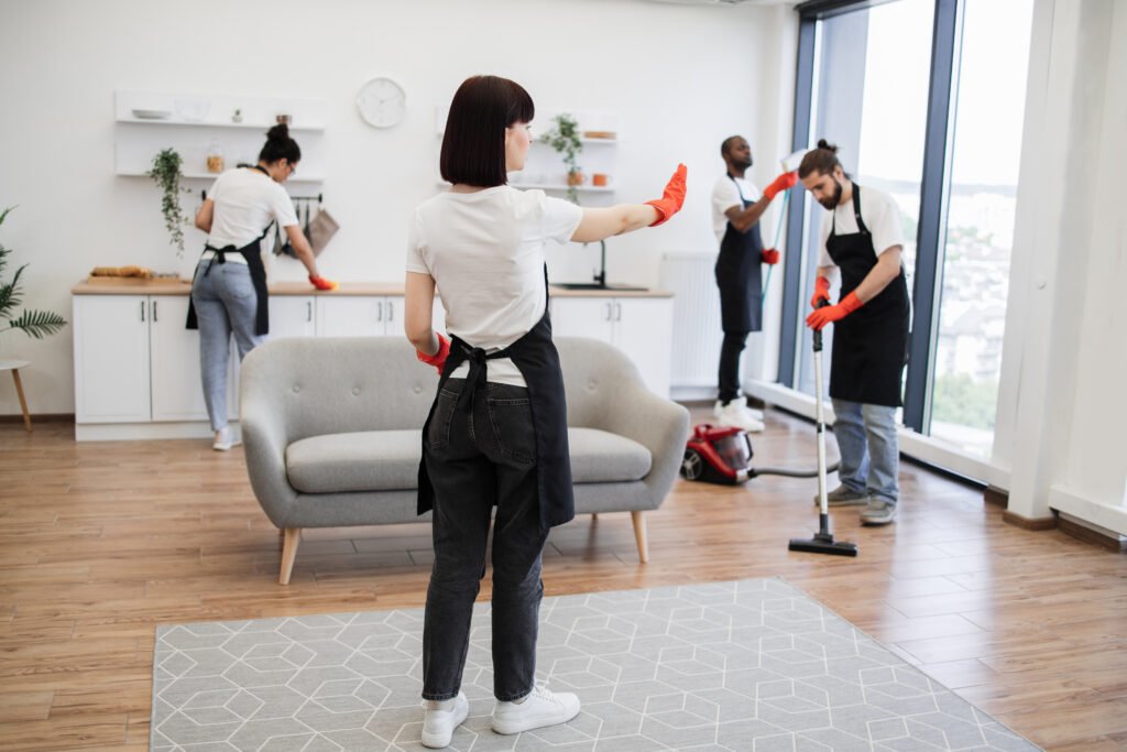 Professional Cleaners