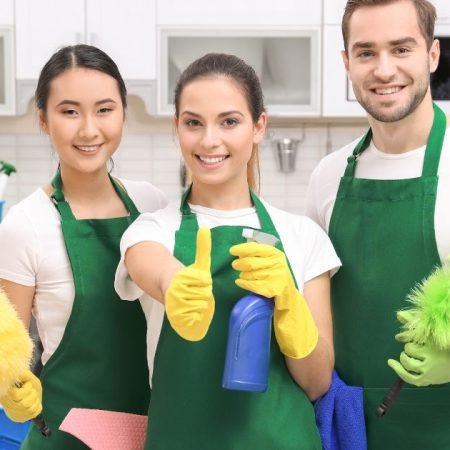 Reliable Regular House Cleaning Services in South Auckland